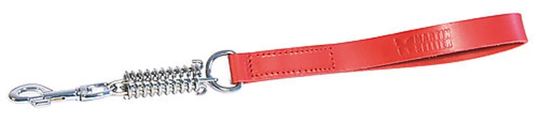 Martin Sellier - Laisse Amortisseur En Cuir Et Bord Arrondi Pour Chien - Rouge 1 Martin Sellier - Laisse Amortisseur En Cuir Et Bord Arrondi Pour Chien - Rouge
