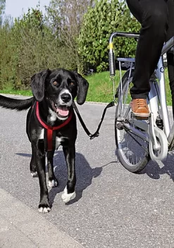Trixie - Kit De Séparation Vélo Biker-Set Pour Grand Chien