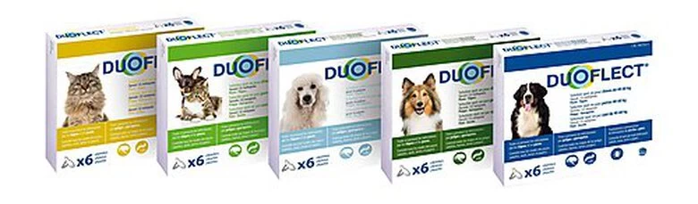 Duoflect - Pipettes Antiparasitaire De 10 à 20Kg Pour Chien - X3 2 Duoflect - Pipettes Antiparasitaire De 10 à 20Kg Pour Chien - X3 – Image 2