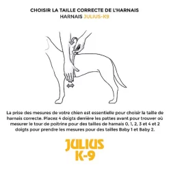 Julius K9 Julius-K9 - Harnais Power M De 66-85cm Pour Chien - Rouge -Fournitures Pour Chiens 15708