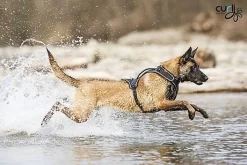 Curli - Harnais Belka Air-Mesh En Noir Pour Chiens - M -Fournitures Pour Chiens 17300