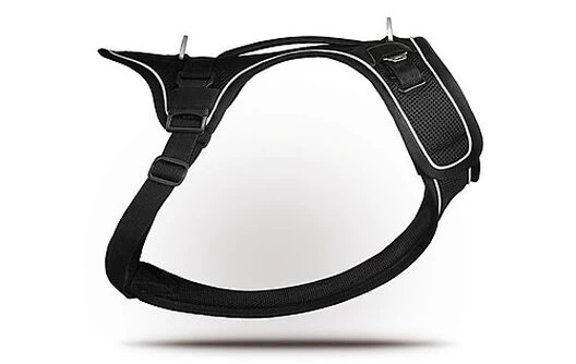 Curli - Harnais Belka Air-Mesh En Noir Pour Chiens - L 3 Curli - Harnais Belka Air-Mesh En Noir Pour Chiens - L – Image 3