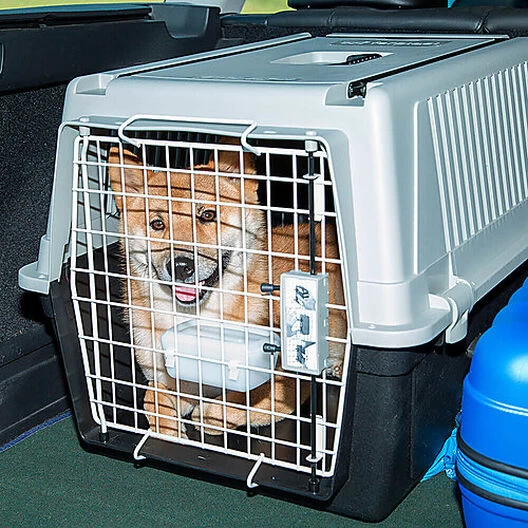 Ferplast - Panier De Transport Atlas 40 En Plastique - Gris 2 Ferplast - Panier De Transport Atlas 40 En Plastique - Gris – Image 2