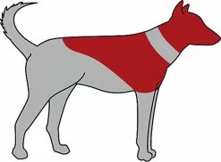 Trixie - Collerette De Protection Gonflable Pour Chien - L-XL -Fournitures Pour Chiens 27799