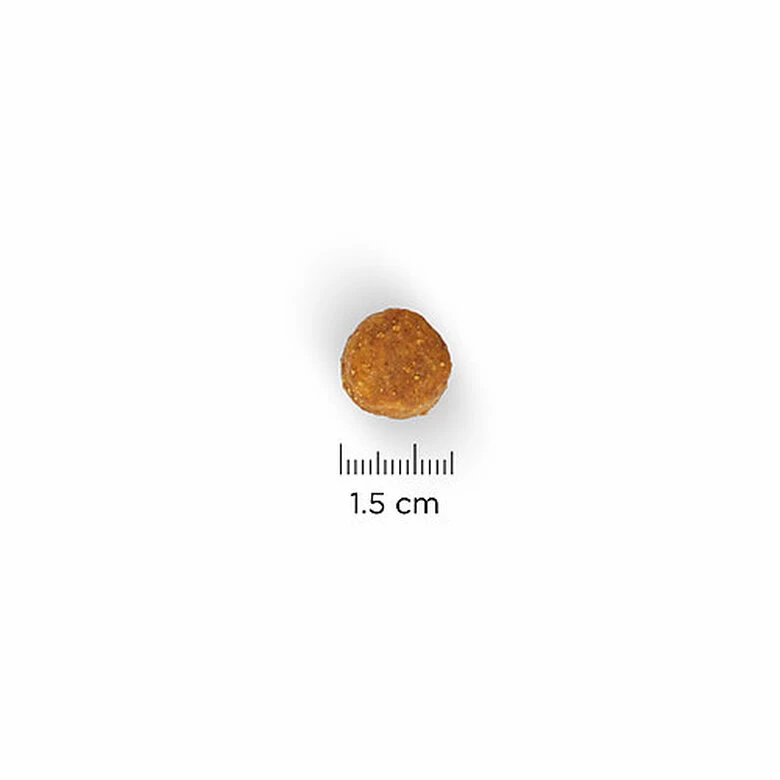 Hill's Science Plan - Croquettes Advanced Fitness Large Adult Poulet Pour Chien - 18Kg 2 Hill's Science Plan - Croquettes Advanced Fitness Large Adult Poulet Pour Chien - 18Kg – Image 2