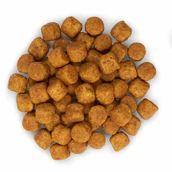 Hill's Science Plan - Croquettes Advanced Fitness Large Adult Poulet Pour Chien - 18Kg 7 Hill's Science Plan - Croquettes Advanced Fitness Large Adult Poulet Pour Chien - 18Kg -Fournitures Pour Chiens 28004