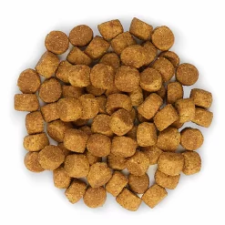 Hill's Science Plan - Croquettes Large Breed Au Poulet Pour Chiot - 16Kg -Fournitures Pour Chiens 28023