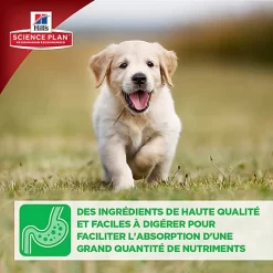 Hill's Science Plan - Croquettes Large Breed Au Poulet Pour Chiot - 16Kg -Fournitures Pour Chiens 28027