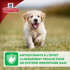 Hill's Science Plan - Croquettes Large Breed Au Poulet Pour Chiot - 16Kg -Fournitures Pour Chiens 28029