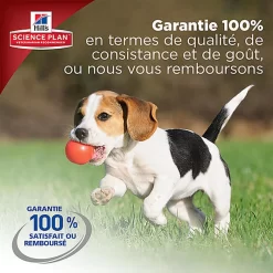 Hill's Science Plan - Croquettes Large Breed Au Poulet Pour Chiot - 16Kg -Fournitures Pour Chiens 28030