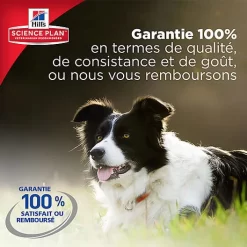 Hill's Science Plan - Croquettes à L'Agneau Et Riz Pour Chien - 12Kg -Fournitures Pour Chiens 28557