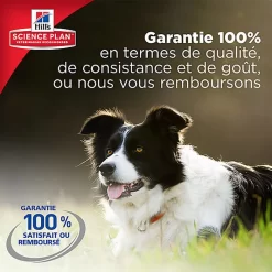 Hill's Science Plan - Croquettes Au Poulet Et Dinde Pour Chien De Petite Race 11 Hill's Science Plan - Croquettes Au Poulet Et Dinde Pour Chien De Petite Race -Fournitures Pour Chiens 28566