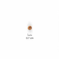 Hill's Science Plan - Croquettes Au Poulet Et Dinde Pour Chien De Petite Race 8 Hill's Science Plan - Croquettes Au Poulet Et Dinde Pour Chien De Petite Race -Fournitures Pour Chiens 28590