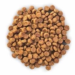 Hill's Science Plan - Croquettes Au Poulet Et Dinde Pour Chien De Petite Race 9 Hill's Science Plan - Croquettes Au Poulet Et Dinde Pour Chien De Petite Race -Fournitures Pour Chiens 28592