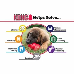 KONG - Jouet Puppy Pour Chiot -Fournitures Pour Chiens 28993