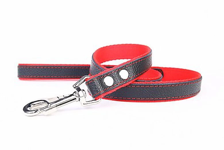 Yogipet - Laisse En Cuir Avec Nylon 120cm Pour Chien - Rouge 1 Yogipet - Laisse En Cuir Avec Nylon 120cm Pour Chien - Rouge