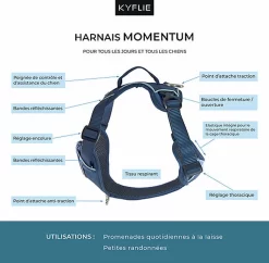 Fournitures Pour Chiens -Fournitures Pour Chiens 37870