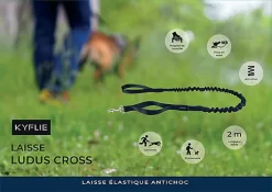 Kyflie - Laisse élastique Anti-chocs LUDUS CROSS Noir Pour Chien - 2m -Fournitures Pour Chiens 38816