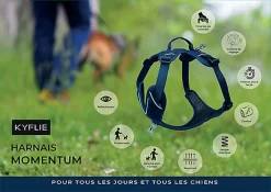 Kyflie - Harnais De Promenade MOMENTUM Rouge Pour Chien -Fournitures Pour Chiens 38819