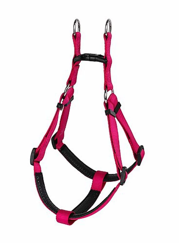 Animalis - Harnais Basic Confort T4 40mm Et 96/120cm Pour Chien - Fuchsia 2 Animalis - Harnais Basic Confort T4 40mm Et 96/120cm Pour Chien - Fuchsia – Image 2