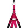 Animalis - Harnais Basic Confort T4 40mm Et 96/120cm Pour Chien - Fuchsia