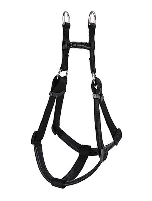 Animalis - Harnais Basic Confort T4 40mm Et 96/120cm Pour Chien - Noir 2 Animalis - Harnais Basic Confort T4 40mm Et 96/120cm Pour Chien - Noir – Image 2