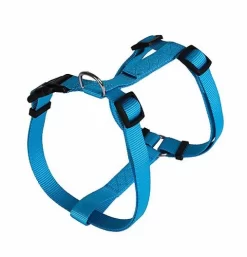 Animalis - Harnais Basic T3 25mm Et 63/97cm Pour Chien - Bleu