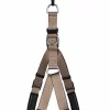 Animalis - Harnais Basic Confort T3 25mm Et 75/96cm Pour Chien - Taupe