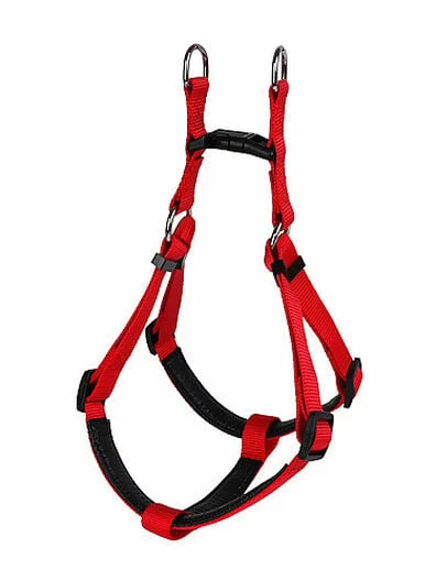 Animalis - Harnais Basic Confort T3 25mm Et 75/96cm Pour Chien - Rouge 2 Animalis - Harnais Basic Confort T3 25mm Et 75/96cm Pour Chien - Rouge – Image 2
