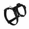 Animalis - Harnais Basic T3 25mm Et 63/97cm Pour Chien - Noir