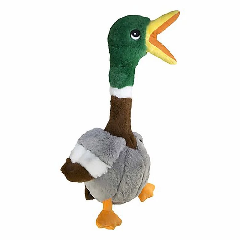 KONG - Jouet Canard En Peluche Shakers Honkers Duck Pour Chien - L 2 KONG - Jouet Canard En Peluche Shakers Honkers Duck Pour Chien - L – Image 2