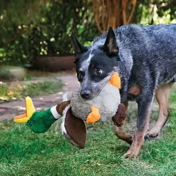 KONG - Jouet Canard En Peluche Shakers Honkers Duck Pour Chien - L 5 KONG - Jouet Canard En Peluche Shakers Honkers Duck Pour Chien - L -Fournitures Pour Chiens 39703