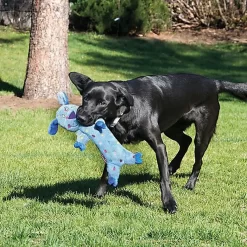 KONG - Jouet Cochon Low Stuff Speckles Pour Chien - L -Fournitures Pour Chiens 39772