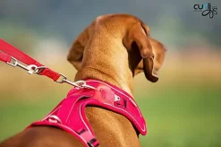 Curli - Harnais Belka Air-Mesh En Rouge Pour Chien -Fournitures Pour Chiens 40437