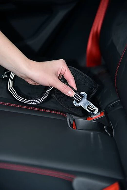 Bobby - Laisse Avec Attache Sécurité Voiture Rouge Pour Chien 4 Bobby - Laisse Avec Attache Sécurité Voiture Rouge Pour Chien – Image 4