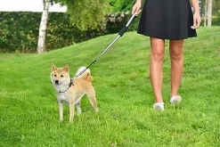Bobby - Laisse Avec Attache Sécurité Voiture Rouge Pour Chien 7 Bobby - Laisse Avec Attache Sécurité Voiture Rouge Pour Chien -Fournitures Pour Chiens 40683