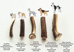 Animalis - Friandise Bois De Cerf Entier Pour Chien 6 Animalis - Friandise Bois De Cerf Entier Pour Chien -Fournitures Pour Chiens 41022