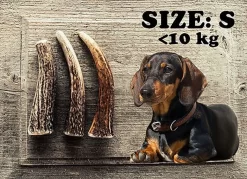 Meilleures ventes -Fournitures Pour Chiens 41028