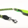 Yogipet - Laisse En Cuir Tressé 120cm Pour Chien - Vert