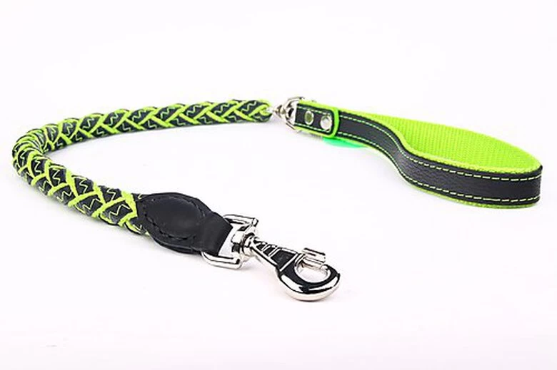Yogipet - Laisse En Cuir Tressé 120cm Pour Chien - Vert 2 Yogipet - Laisse En Cuir Tressé 120cm Pour Chien - Vert – Image 2