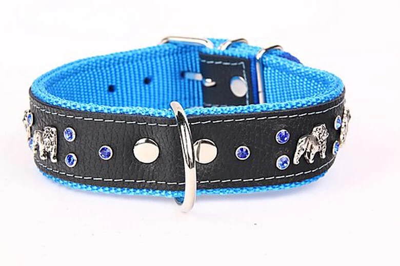 Yogipet - Collier Bulldog Cuir Crystal Pour Chien - Bleu 3 Yogipet - Collier Bulldog Cuir Crystal Pour Chien - Bleu – Image 3