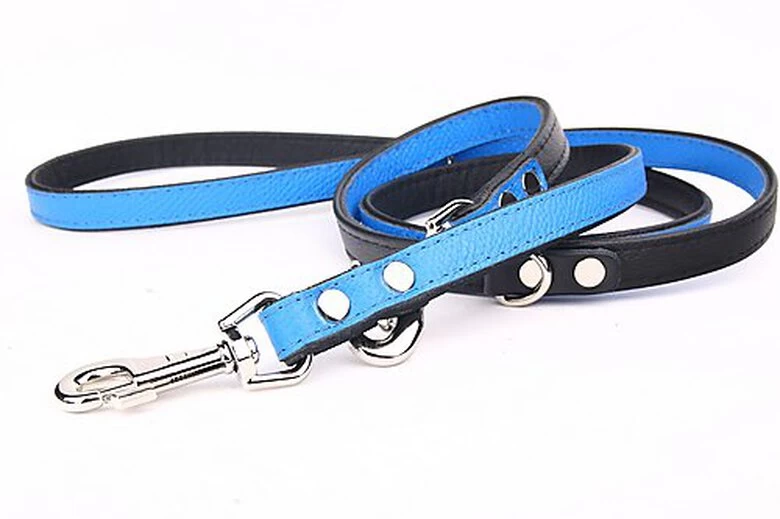 Yogipet - Laisse Ajustable 2/220cm Pour Chien - Bleu 2 Yogipet - Laisse Ajustable 2/220cm Pour Chien - Bleu – Image 2
