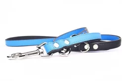 Yogipet - Laisse Ajustable 1,6/220cm Pour Chien - Bleu -Fournitures Pour Chiens 41941 1