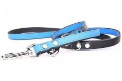 Yogipet - Laisse Ajustable 1,6/220cm Pour Chien - Bleu -Fournitures Pour Chiens 41942 1