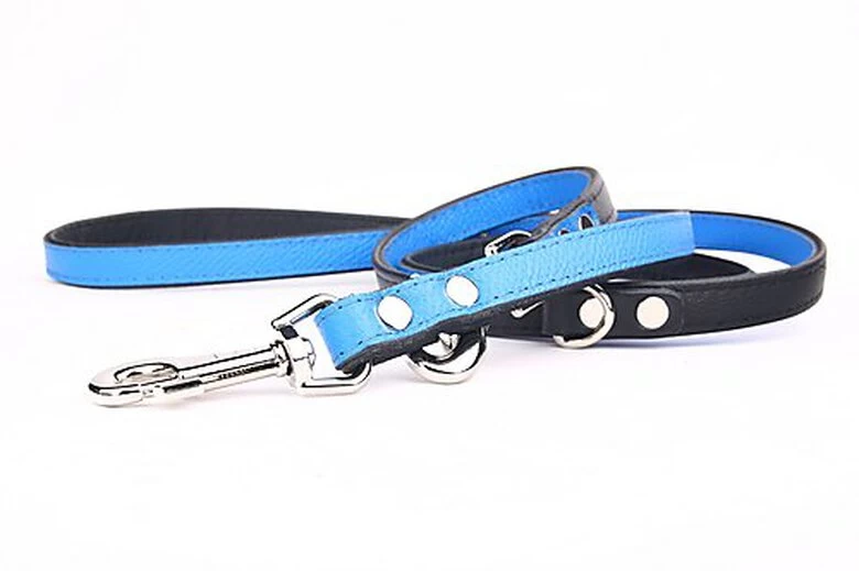 Yogipet - Laisse Ajustable 2/220cm Pour Chien - Bleu 1 Yogipet - Laisse Ajustable 2/220cm Pour Chien - Bleu