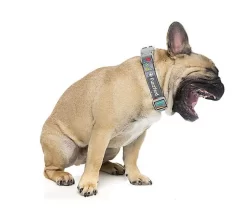 FuzzYard - Collier Coachella Pour Chien - L 9 FuzzYard - Collier Coachella Pour Chien - L -Fournitures Pour Chiens 43182