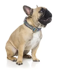 FuzzYard - Collier Coachella Pour Chien - L 7 FuzzYard - Collier Coachella Pour Chien - L -Fournitures Pour Chiens 43185