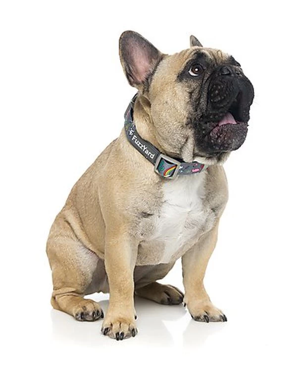 FuzzYard - Collier Coachella Pour Chien - L 4 FuzzYard - Collier Coachella Pour Chien - L – Image 4