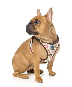 FuzzYard - Harnais Go Nuts Pour Chien - S -Fournitures Pour Chiens 43250