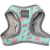FuzzYard - Harnais Summer Punch Pour Chien - XL
